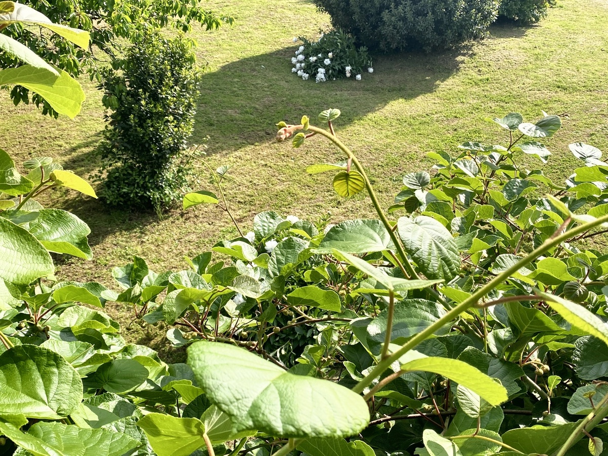 Villa 100 m² avec piscine privée à Prailles-La Couarde - Photo 29