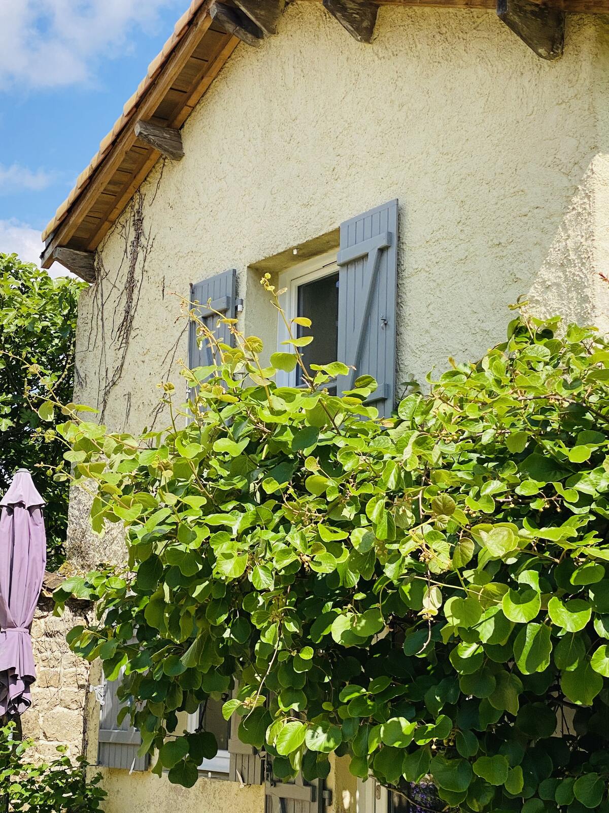 Villa 100 m² avec piscine privée à Prailles-La Couarde - Photo 32