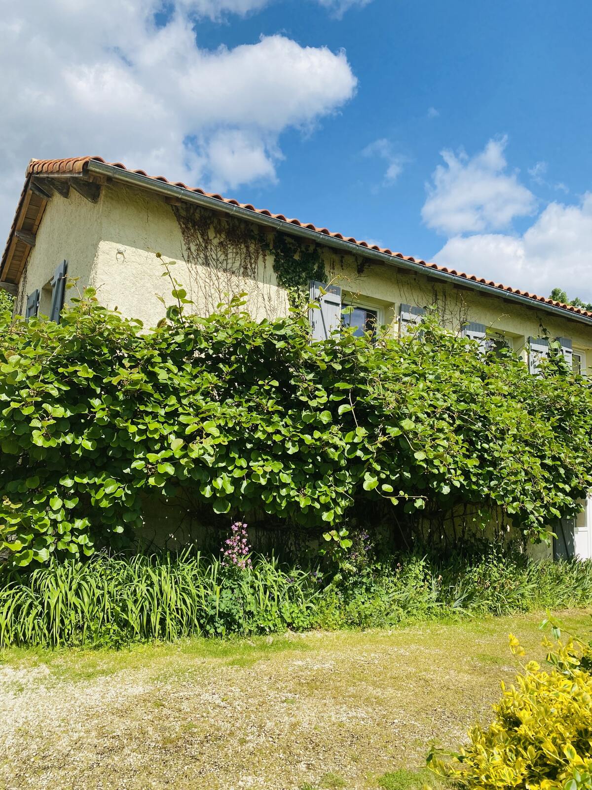 Villa 100 m² avec piscine privée à Prailles-La Couarde - Photo 33