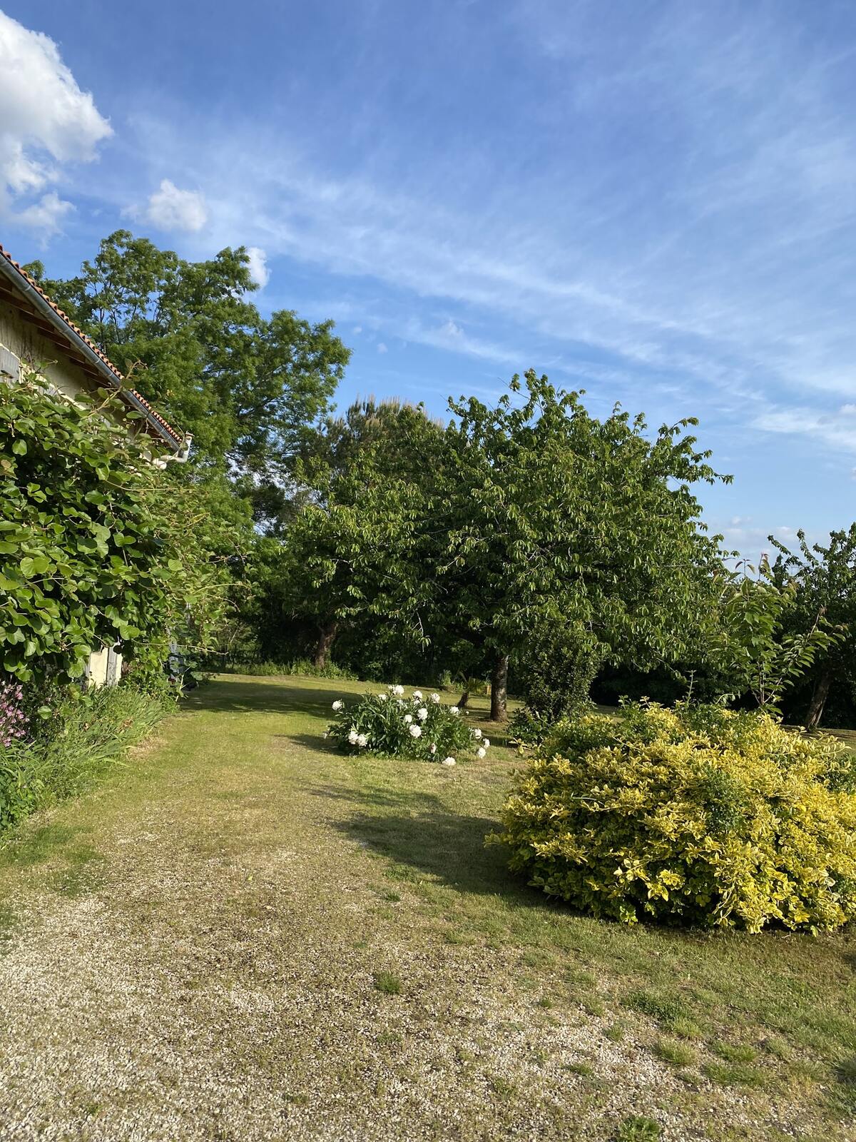 Villa 100 m² avec piscine privée à Prailles-La Couarde - Photo 57