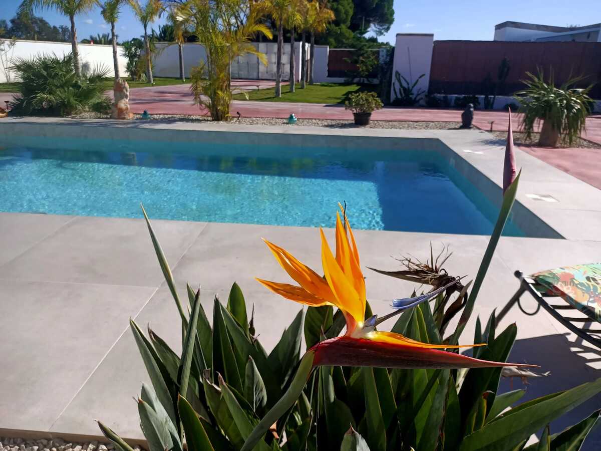 Villa 8 pers. avec piscine ouverte toute l'année à Chiclana - Photo 33