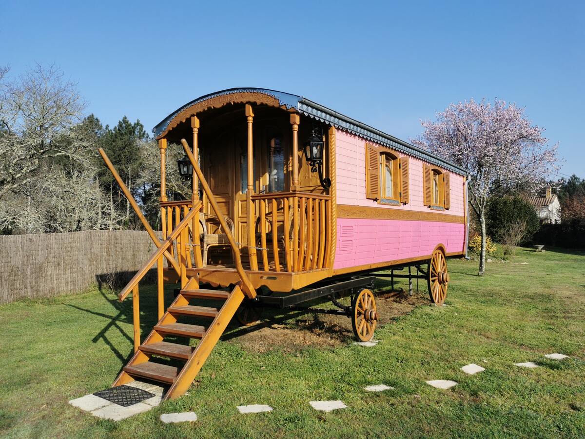 Bungalow 2 pers. à Bussac-Forêt, piscine et terrasse - Photo 6