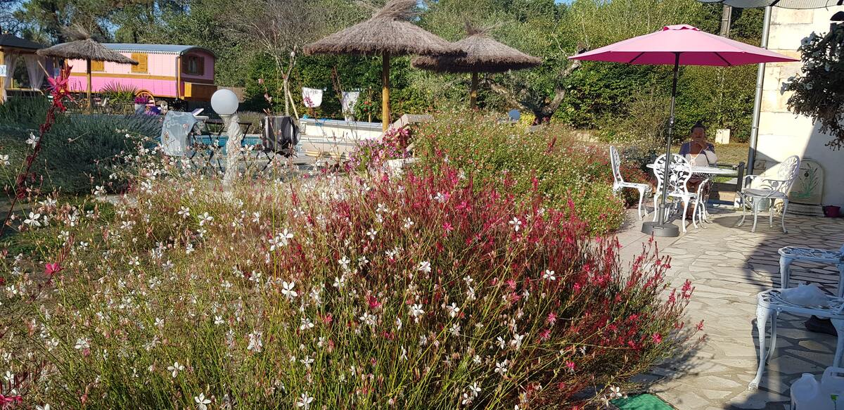 Bungalow 2 pers. à Bussac-Forêt, piscine et terrasse - Photo 12