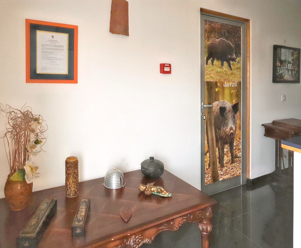 Maison 7 chambres Corte de Pao, piscine privée toute l'année - Photo 18