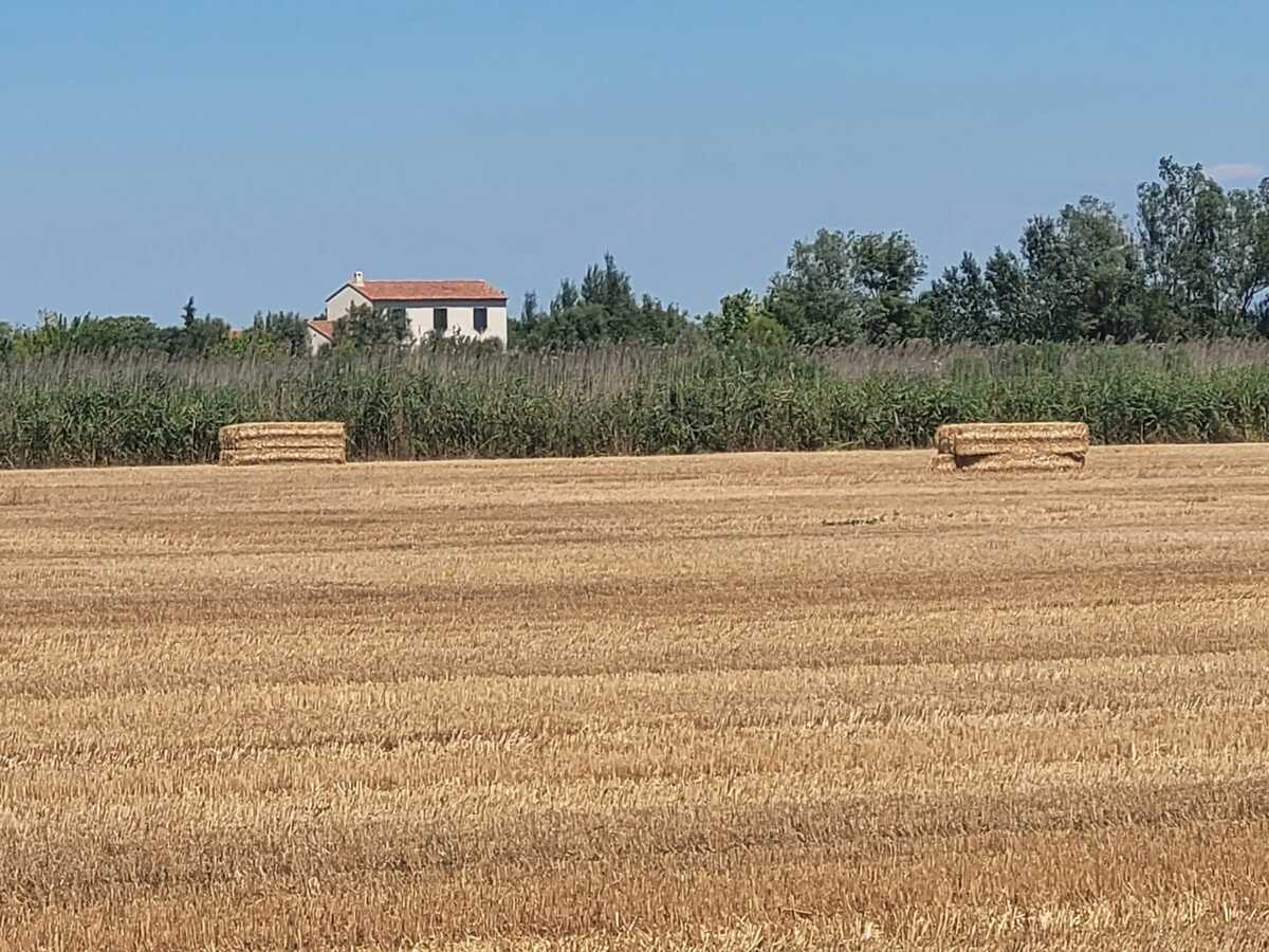 Villa provençale 150 m² à Arles - Piscine privée et jardin - Photo 13