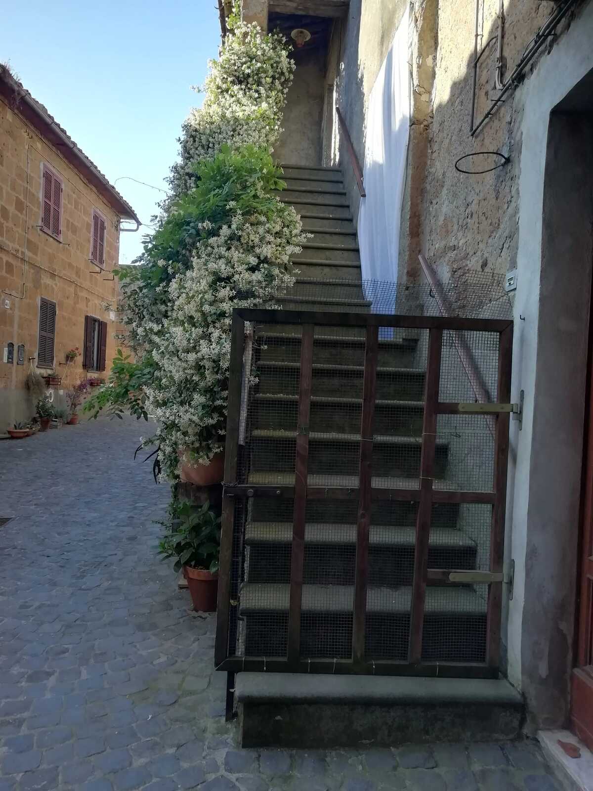Maison 85 m² à Barbarano Romano, terrasse et cheminée - Photo 12