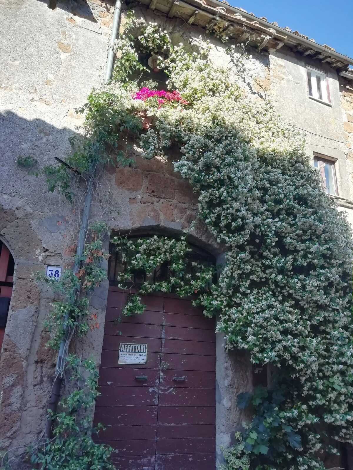 Maison 85 m² à Barbarano Romano, terrasse et cheminée - Photo 13
