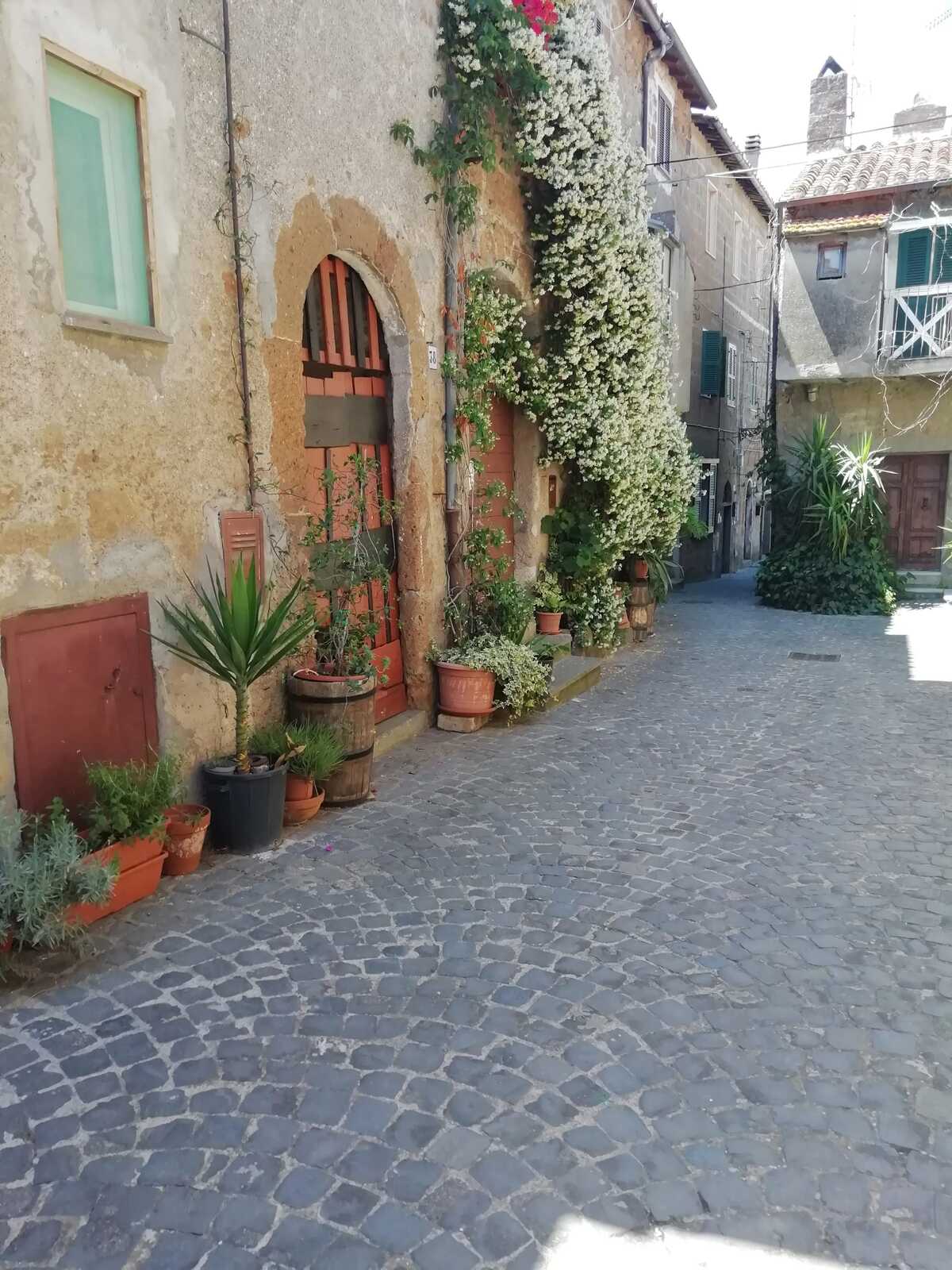 Maison 85 m² à Barbarano Romano, terrasse et cheminée - Photo 15