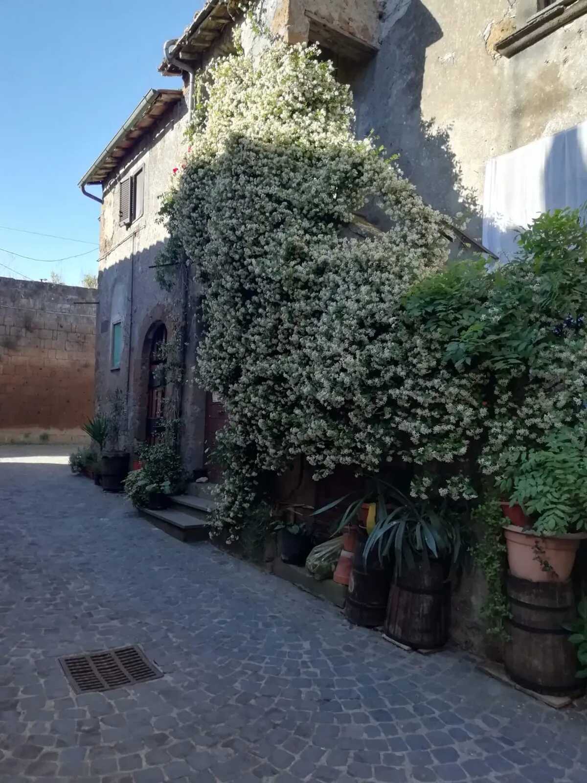 Maison 85 m² à Barbarano Romano, terrasse et cheminée - Photo 16