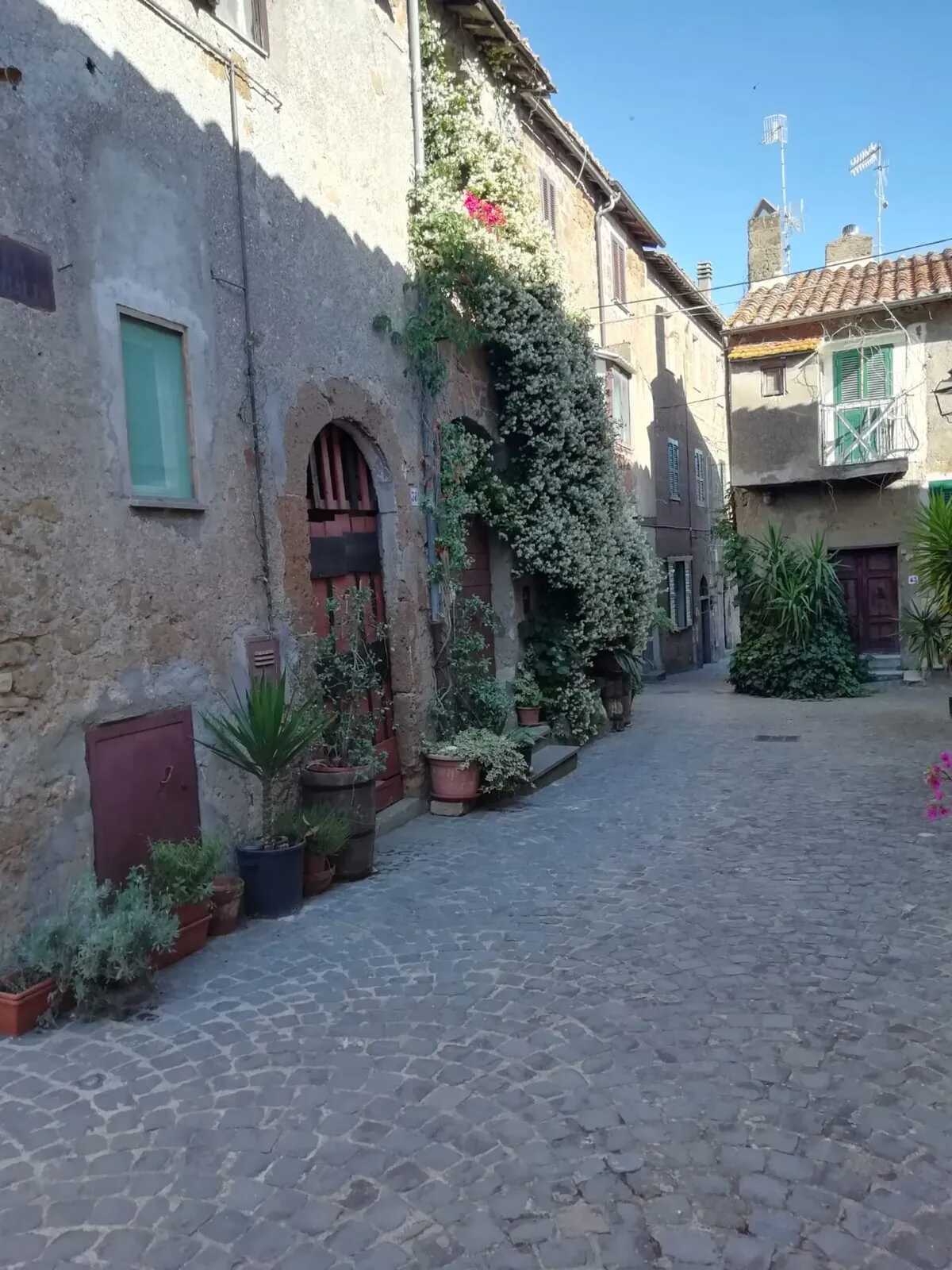 Maison 85 m² à Barbarano Romano, terrasse et cheminée - Photo 17