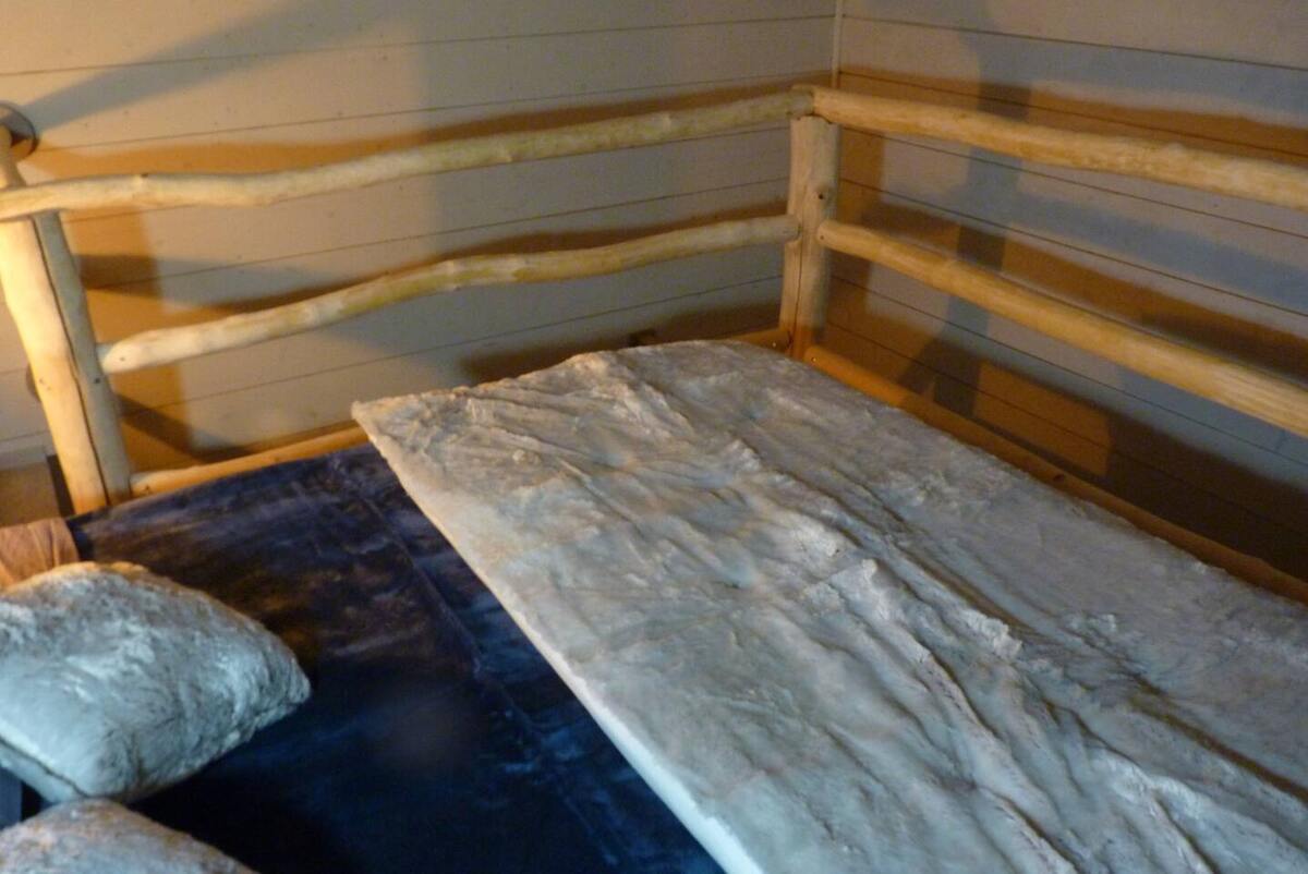 Maison 300 m² avec jacuzzi pour 15 personnes à Arrentès-de-Corcieux - Photo 13
