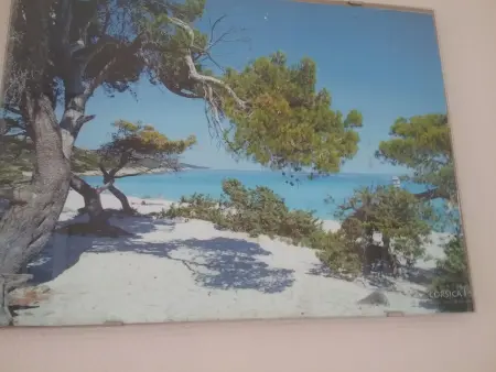 Maison confortable avec vue sur la mer et la montagne à Oletta. - Photo 17