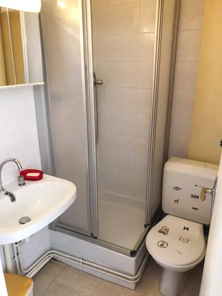 Studio 18 m² avec vue montagne au cœur du Dévoluy : photo 2