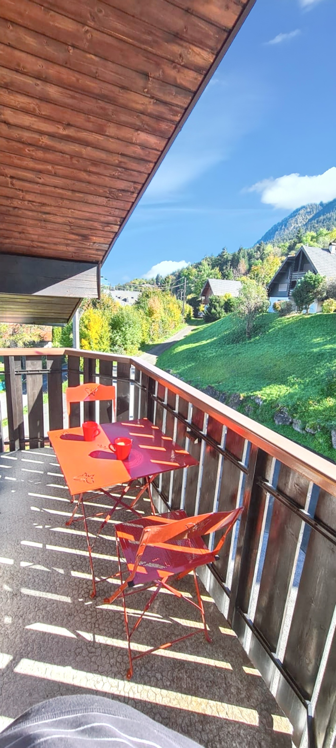 Studio 20 m² avec balcon vue montagne à Thollon - Photo 2