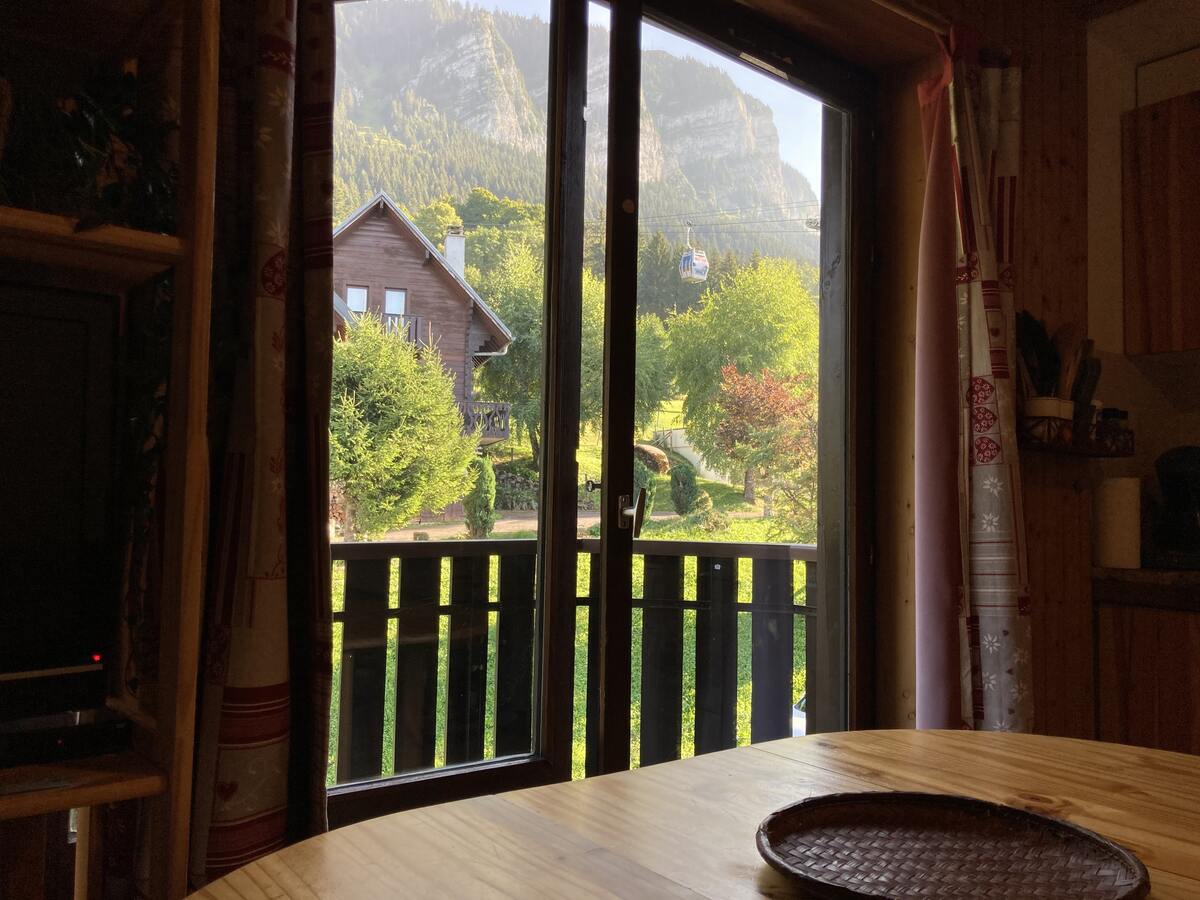 Studio 20 m² avec balcon vue montagne à Thollon - Photo 5