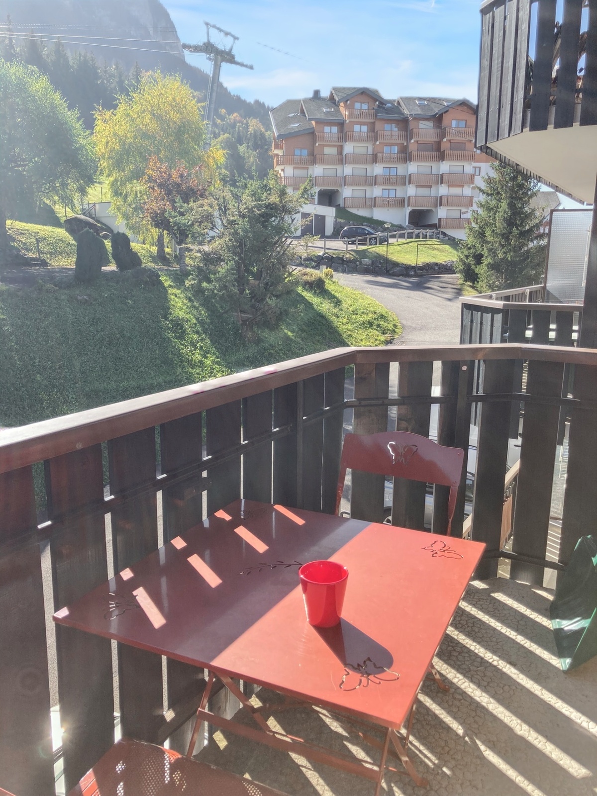 Studio 20 m² avec balcon vue montagne à Thollon - Photo 17