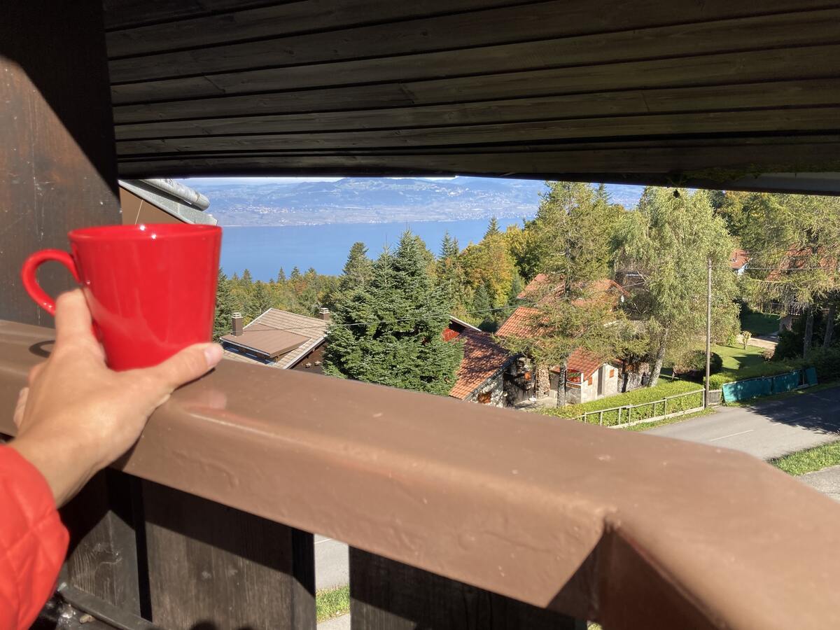 Studio 20 m² avec balcon vue montagne à Thollon - Photo 18