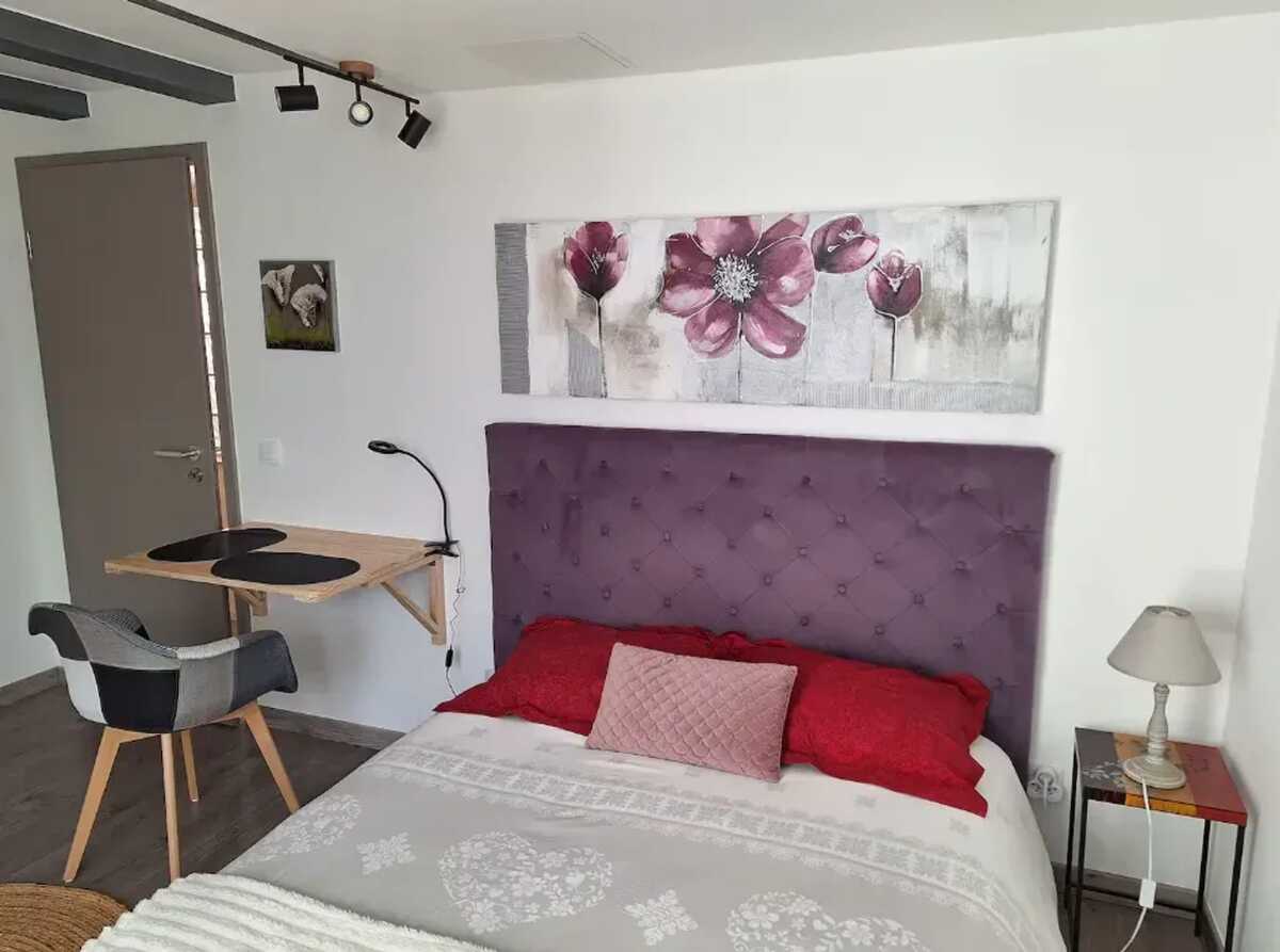 Studio 20 m² à Valff, terrasse et jardin privé - Photo 3