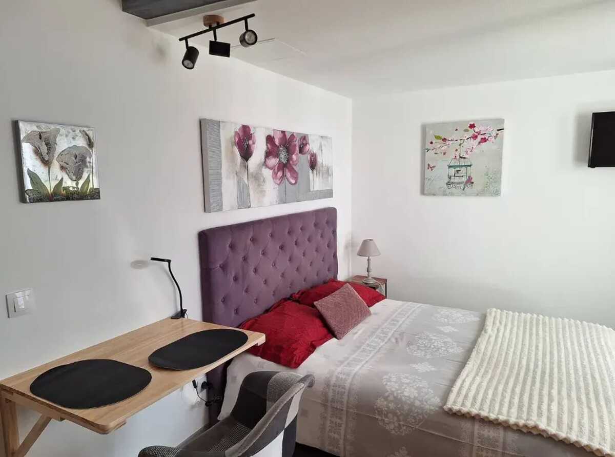Studio 20 m² à Valff, terrasse et jardin privé - Photo 5