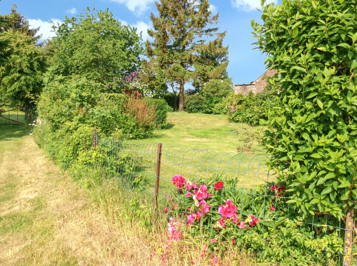 Maison 6 pers. à Mailly-Maillet, jardin clôturé et cheminée - Photo 12