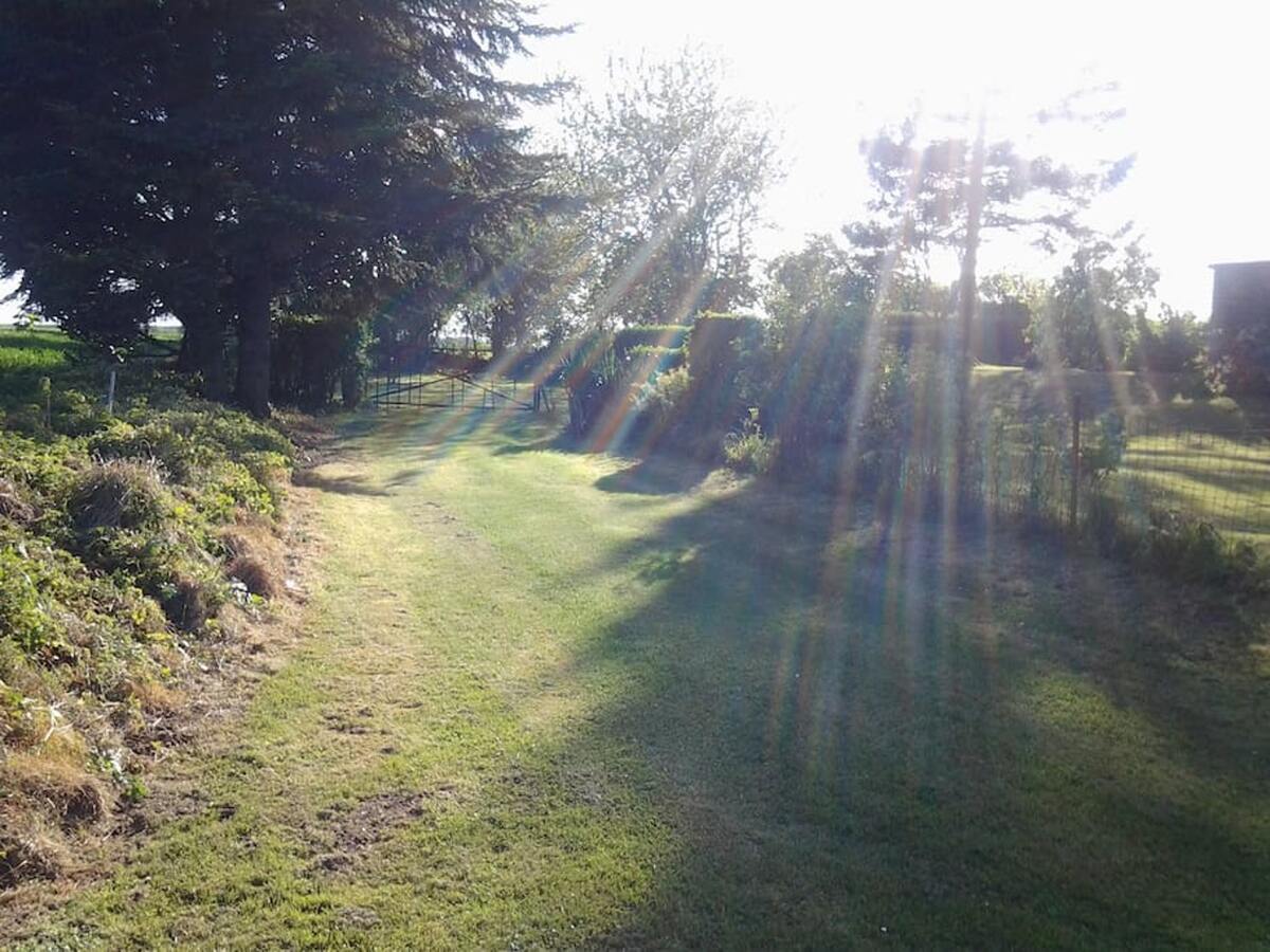 Maison 6 pers. à Mailly-Maillet, jardin clôturé et cheminée - Photo 13