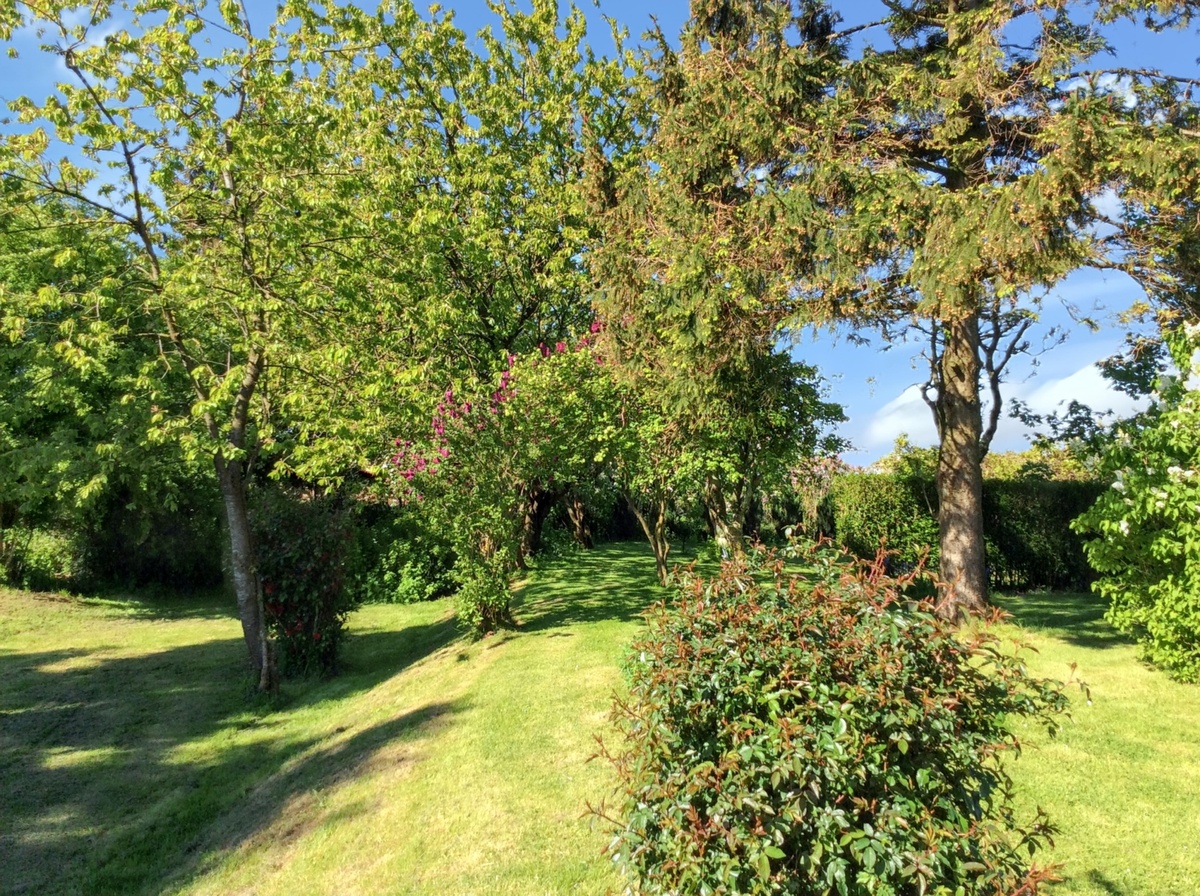 Maison 6 pers. à Mailly-Maillet, jardin clôturé et cheminée - Photo 14