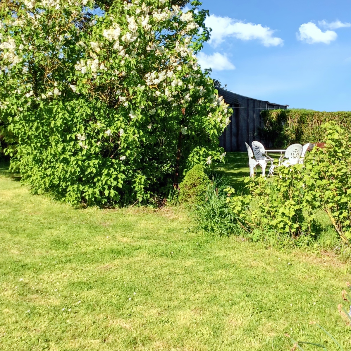 Maison 6 pers. à Mailly-Maillet, jardin clôturé et cheminée - Photo 15