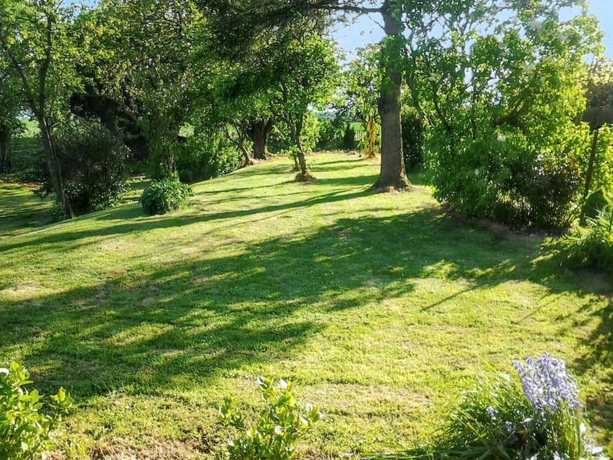 Maison 6 pers. à Mailly-Maillet, jardin clôturé et cheminée - Photo 16