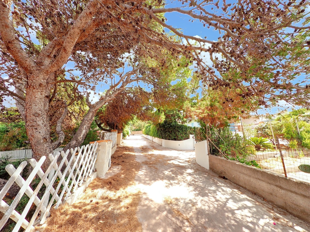 Maison 60 m² vue mer à Punta Tramontana - Photo 8