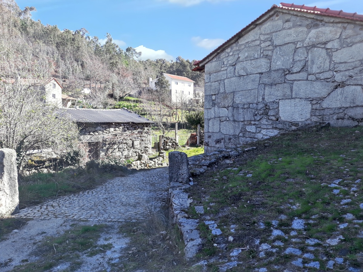 Maison 1 chambre à Águeda avec vue montagnes et piscine - Photo 9