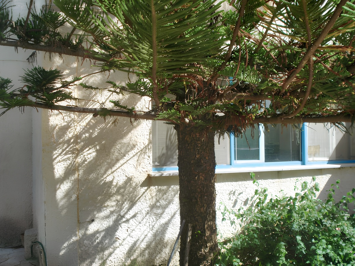 Appartement 110 m² à Granelli, vue mer et terrasse - Photo 21
