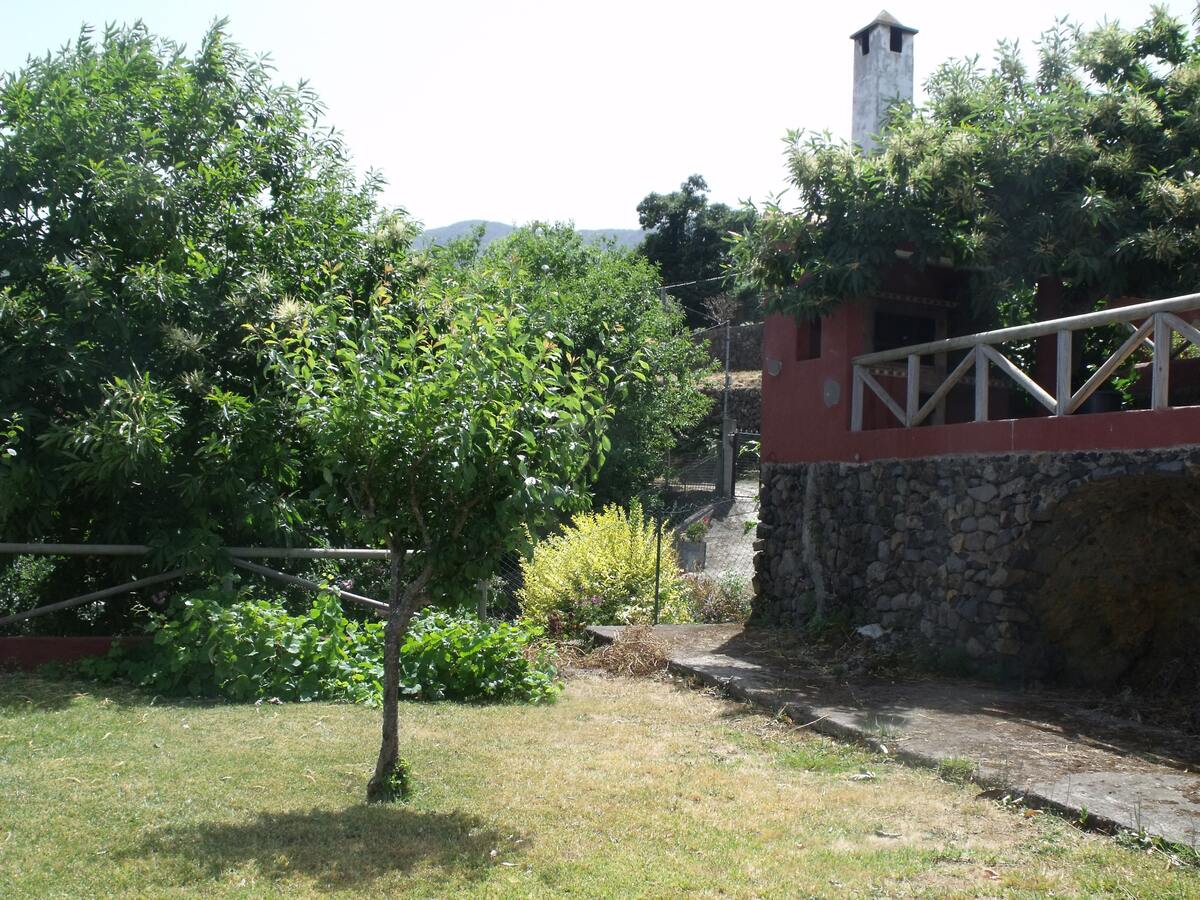 Maison 6 personnes vue mer et montagne à La Orotava - Photo 21