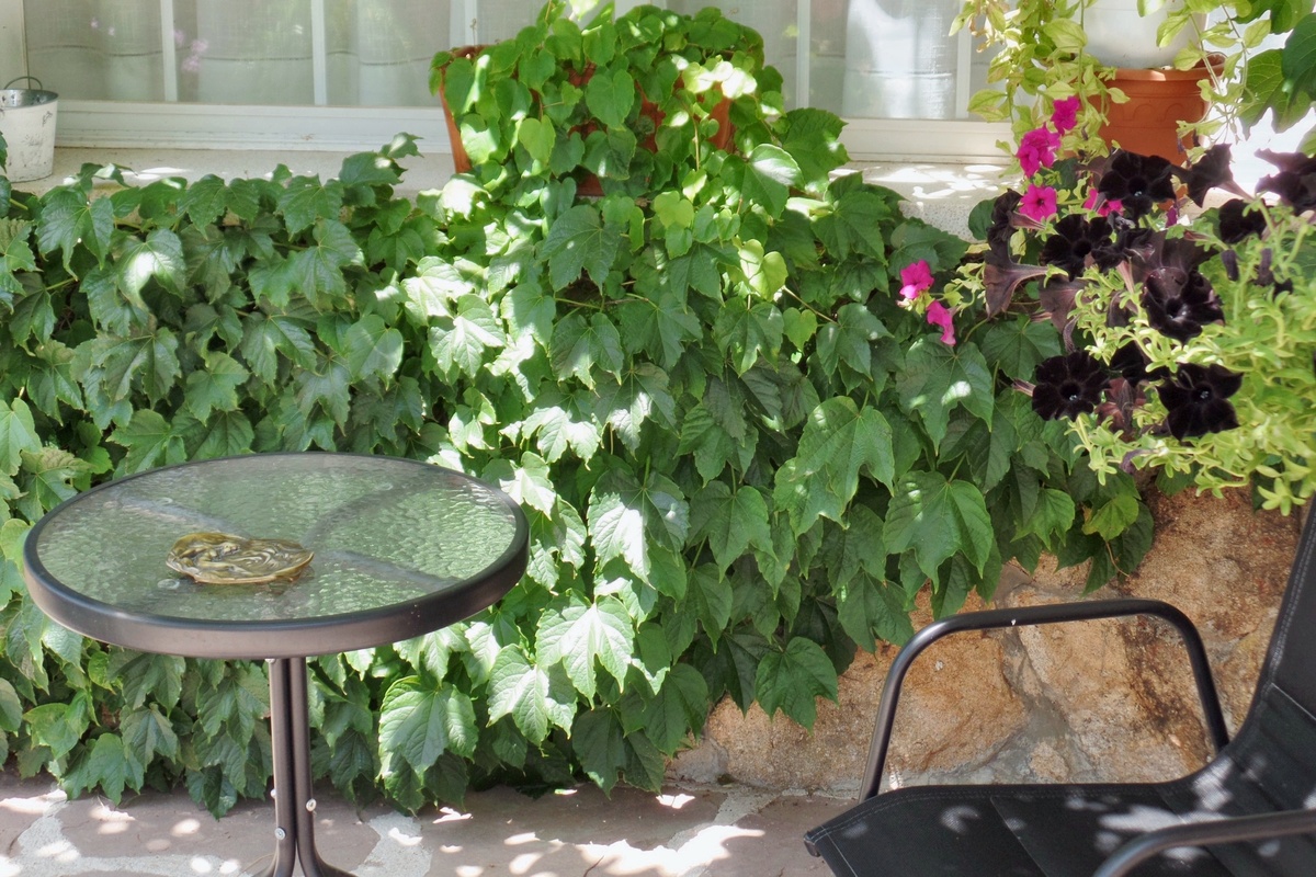 Appartement 100 m² avec terrasse et jardin à Collado Villalba - Photo 32