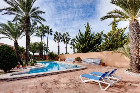 Appartement avec piscine privée et jardin à Torrevieja : photo 16