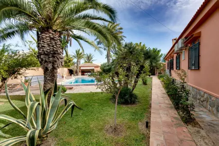 Appartement avec piscine privée et jardin à Torrevieja : photo 22