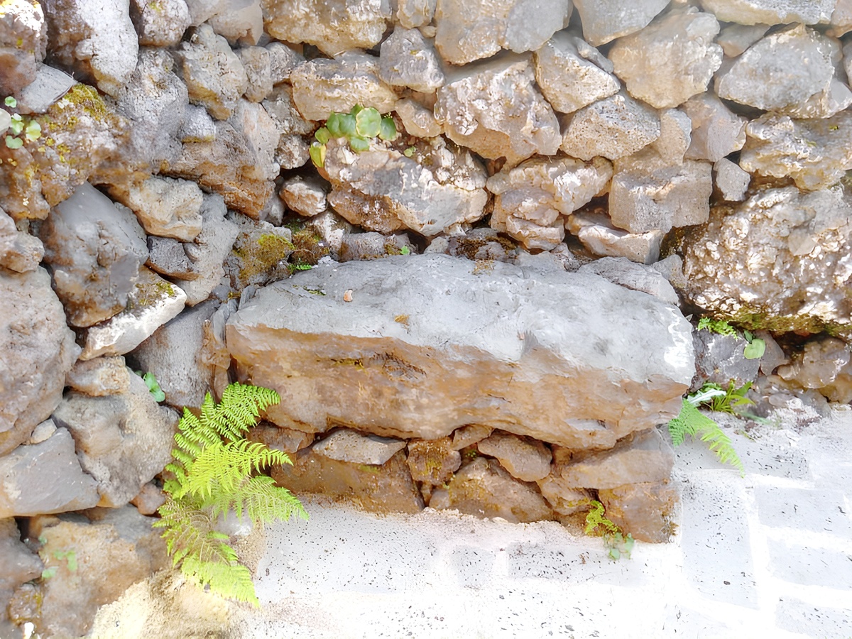 Maison vue mer et montagne avec jardin à Santo Amaro, PT - Photo 17