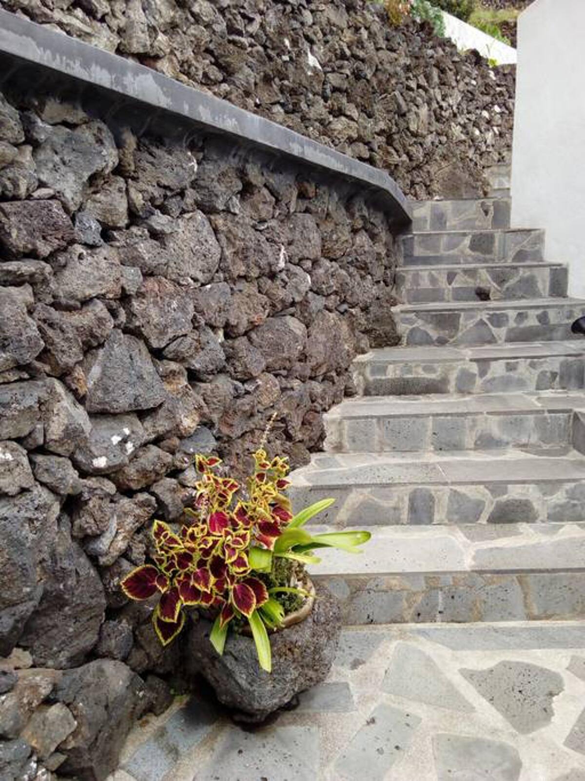 Maison vue mer et montagne avec jardin à Santo Amaro, PT - Photo 28