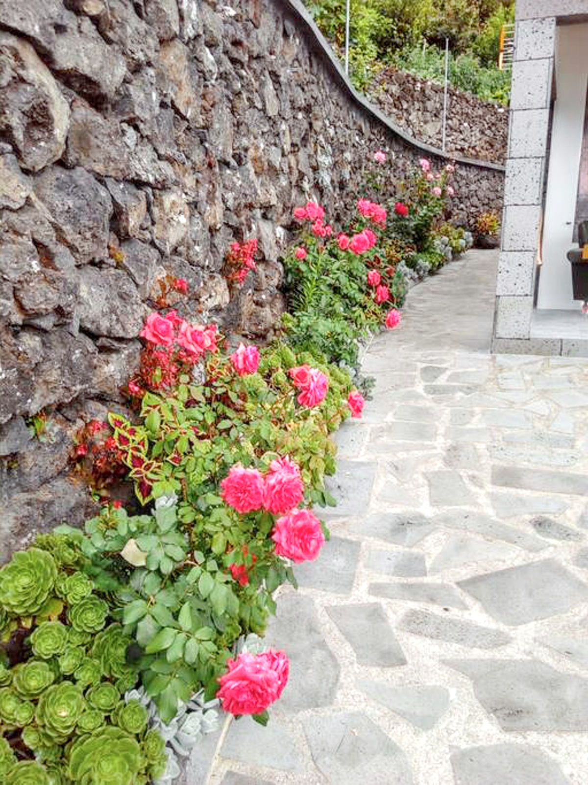 Maison vue mer et montagne avec jardin à Santo Amaro, PT - Photo 30