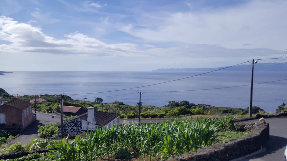 Maison vue mer et montagne avec jardin à Santo Amaro, PT - Photo 33