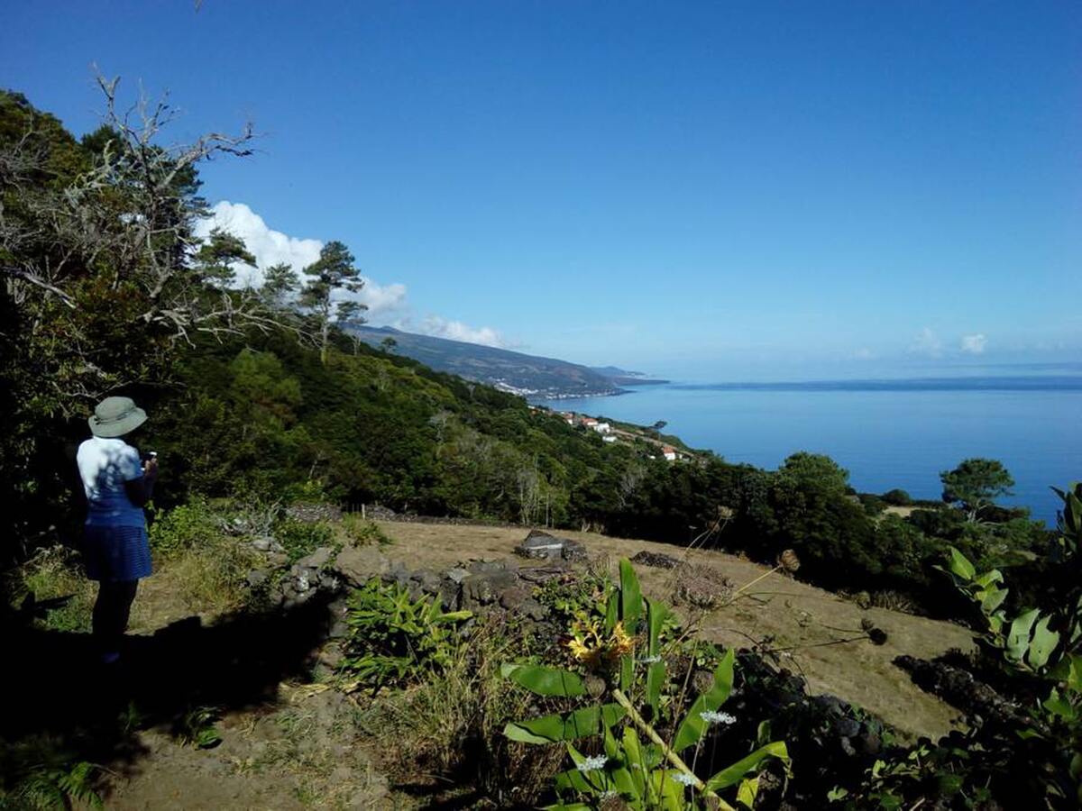 Maison vue mer et montagne avec jardin à Santo Amaro, PT - Photo 36