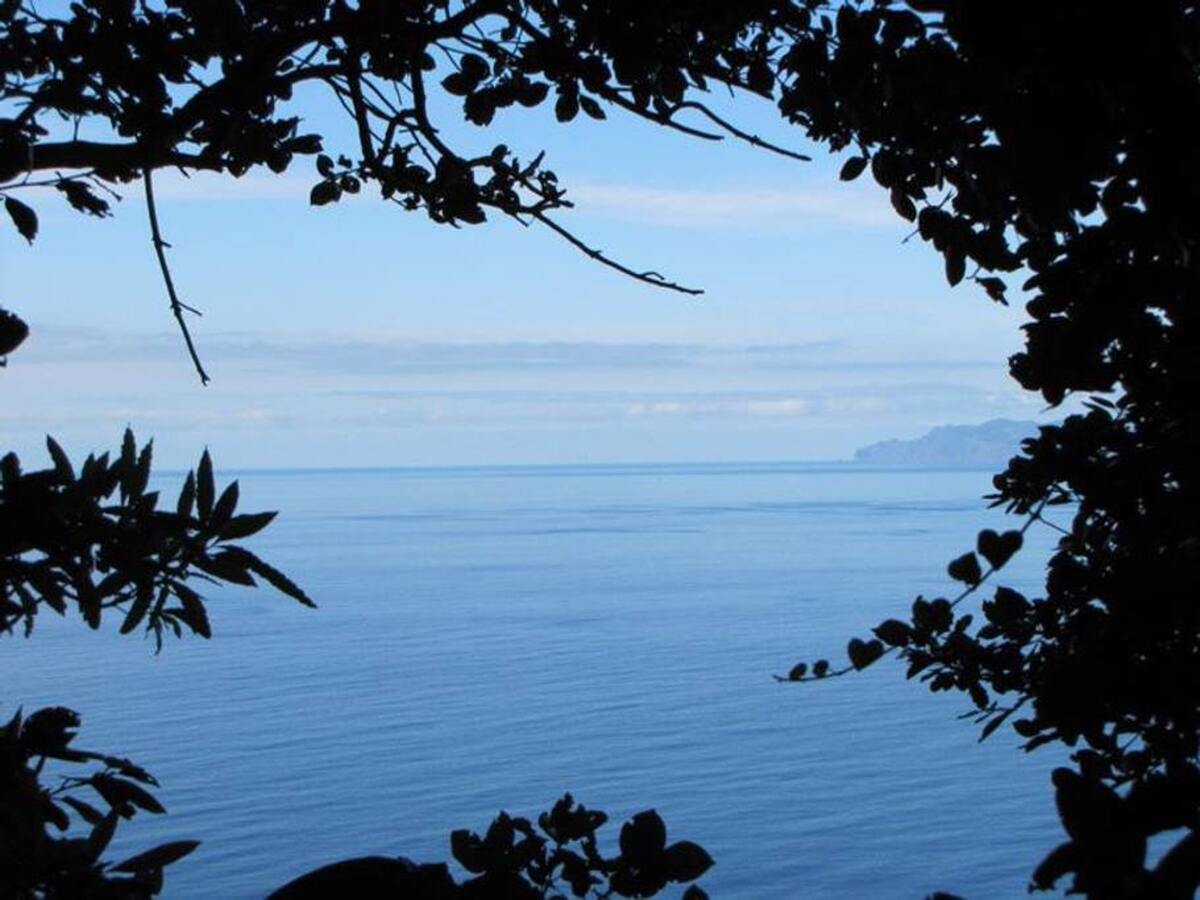 Maison vue mer et montagne avec jardin à Santo Amaro, PT - Photo 37