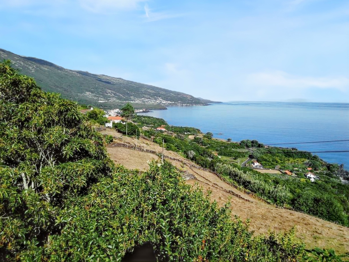 Maison vue mer et montagne avec jardin à Santo Amaro, PT - Photo 43