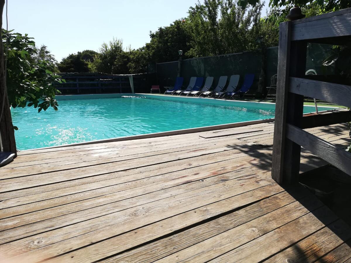Studio 35 m² avec piscine commune à Aci Bonaccorsi - Photo 1