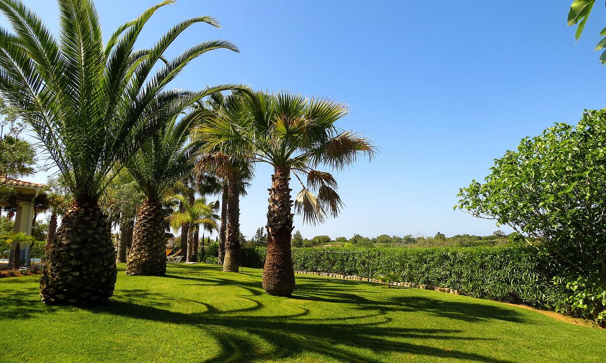 Villa 10 pers. avec piscine privée à Carvoeiro - Photo 12