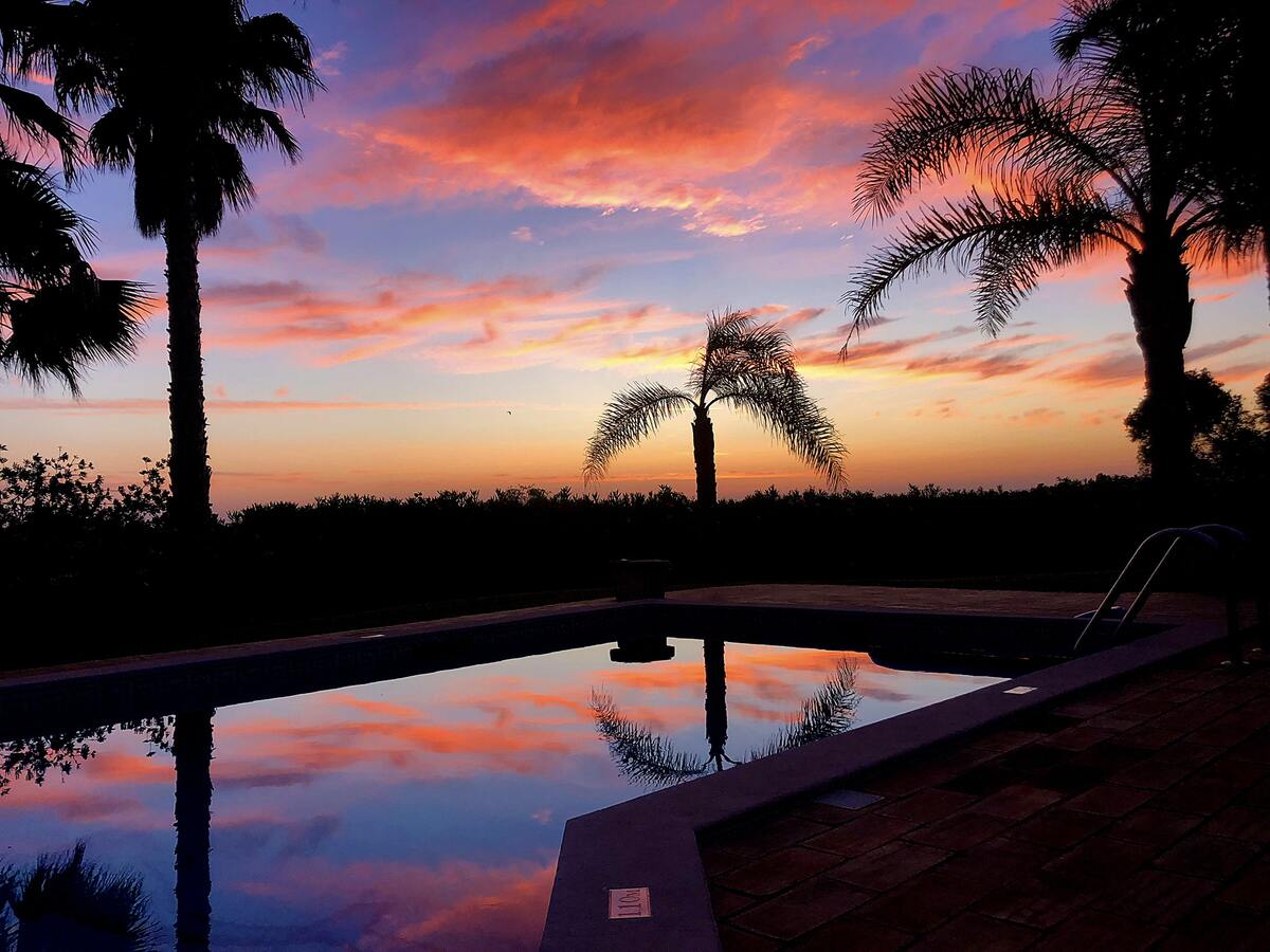 Villa 10 pers. avec piscine privée à Carvoeiro - Photo 14