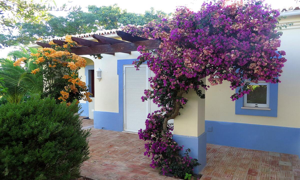 Villa 10 pers. avec piscine privée à Carvoeiro - Photo 34