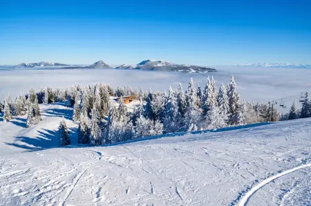 Chalet à Métabief avec vue montagne, jardin et barbecue : photo 10