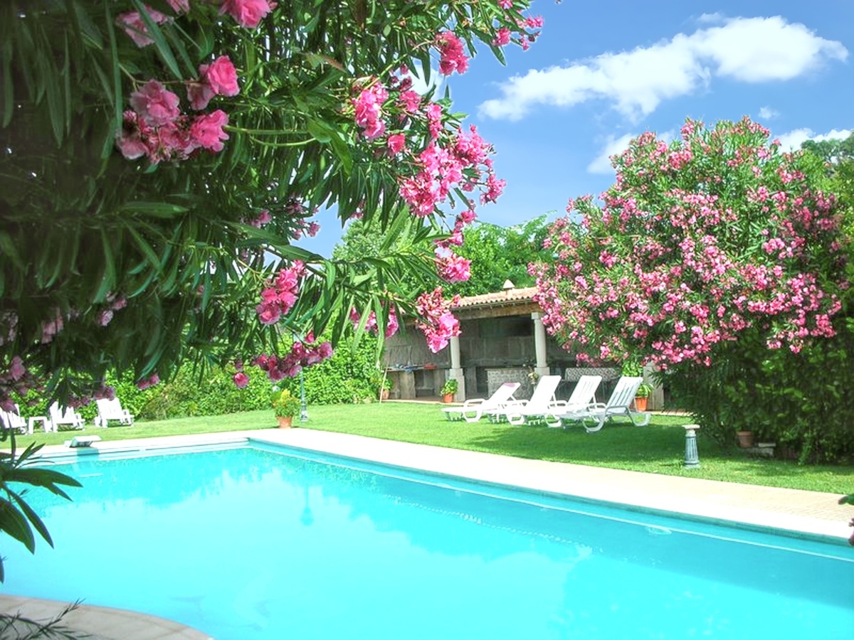 Maison 5 pers. Pedraça : piscine, jardin et vues montagnes - Photo 3