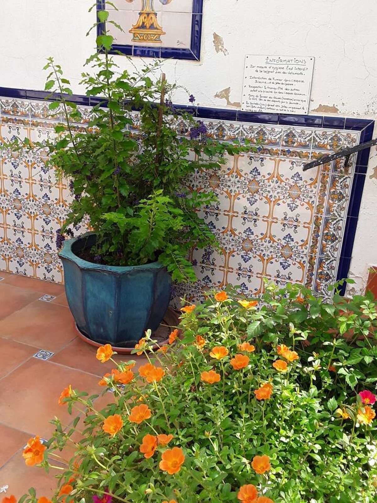 Appartement 2 chambres à Barxeta, piscine été et terrasse - Photo 10