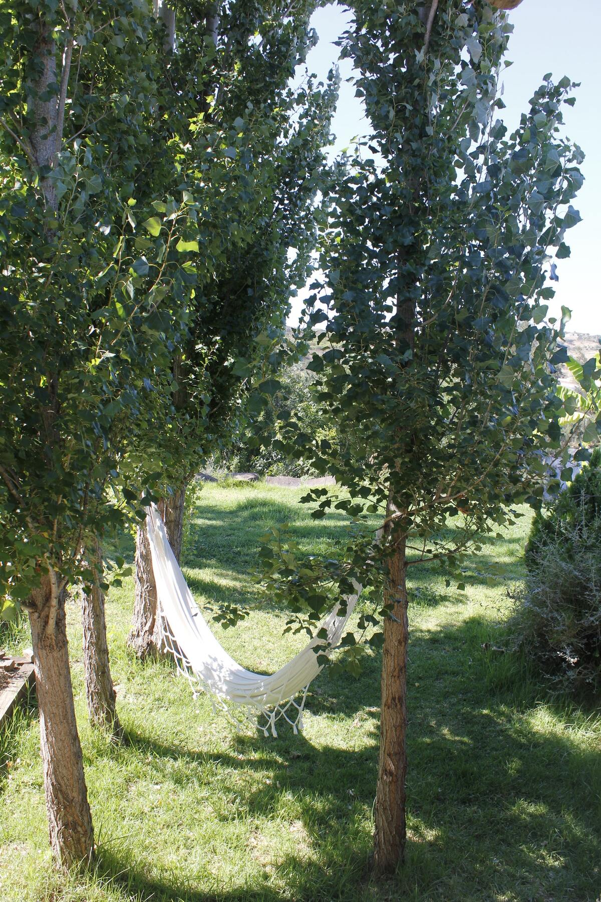 Maison 6 pers. Castro Marim avec piscine été - Photo 11